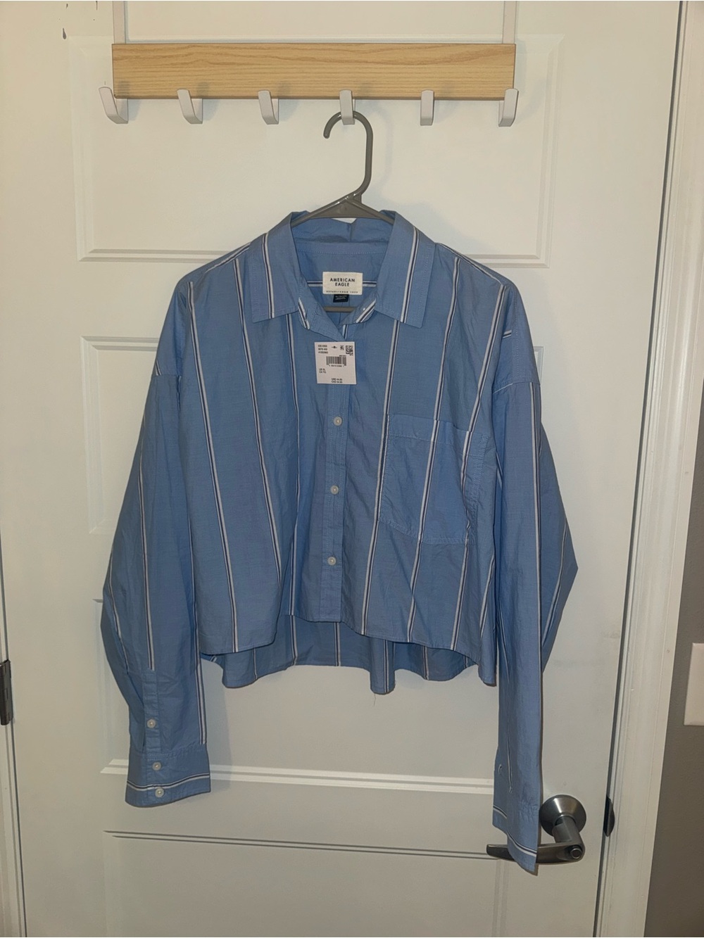 American Eagle Outfitters Light Blue Striped Cropped Button-Down